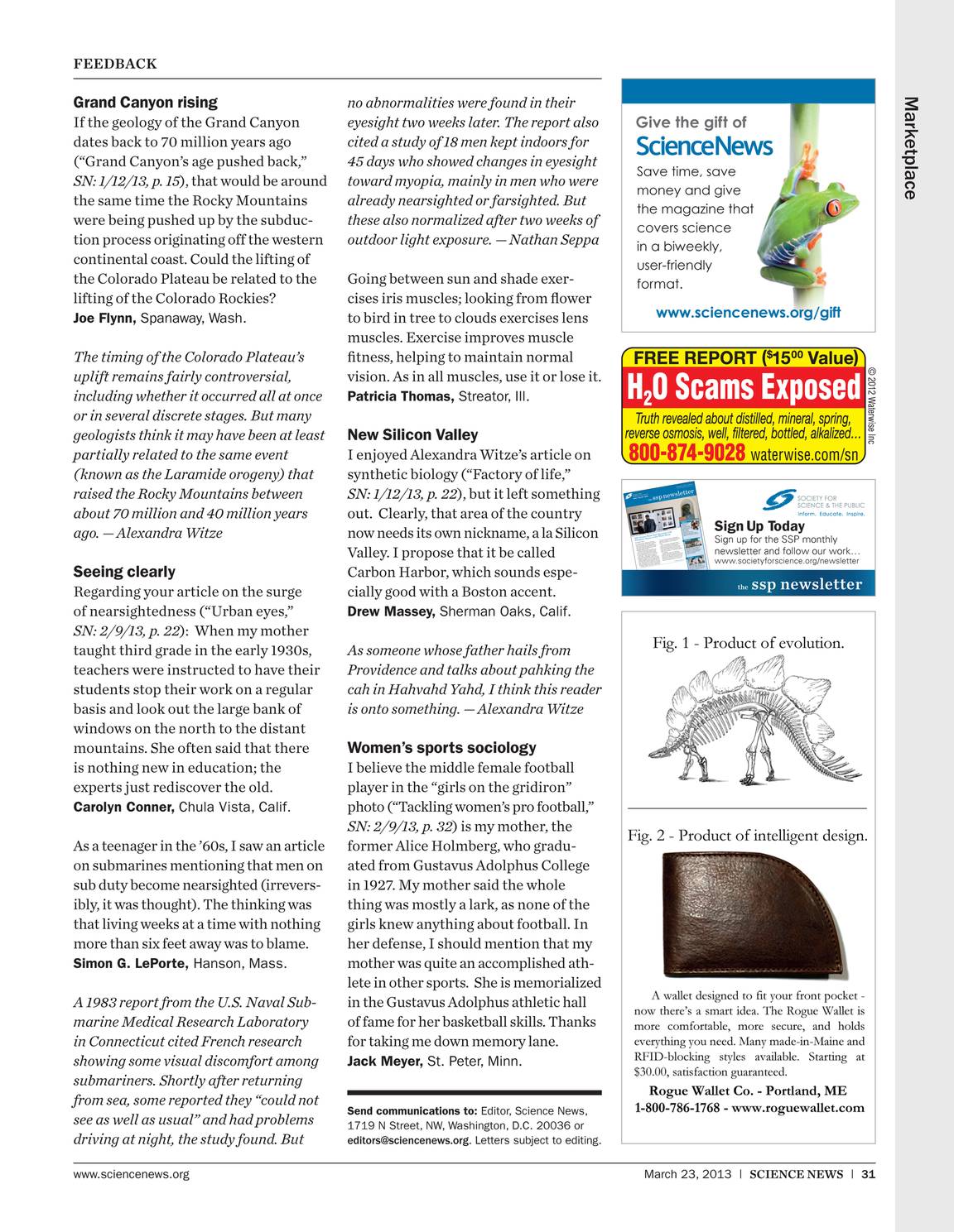 Science News March 23 2013 Page 32